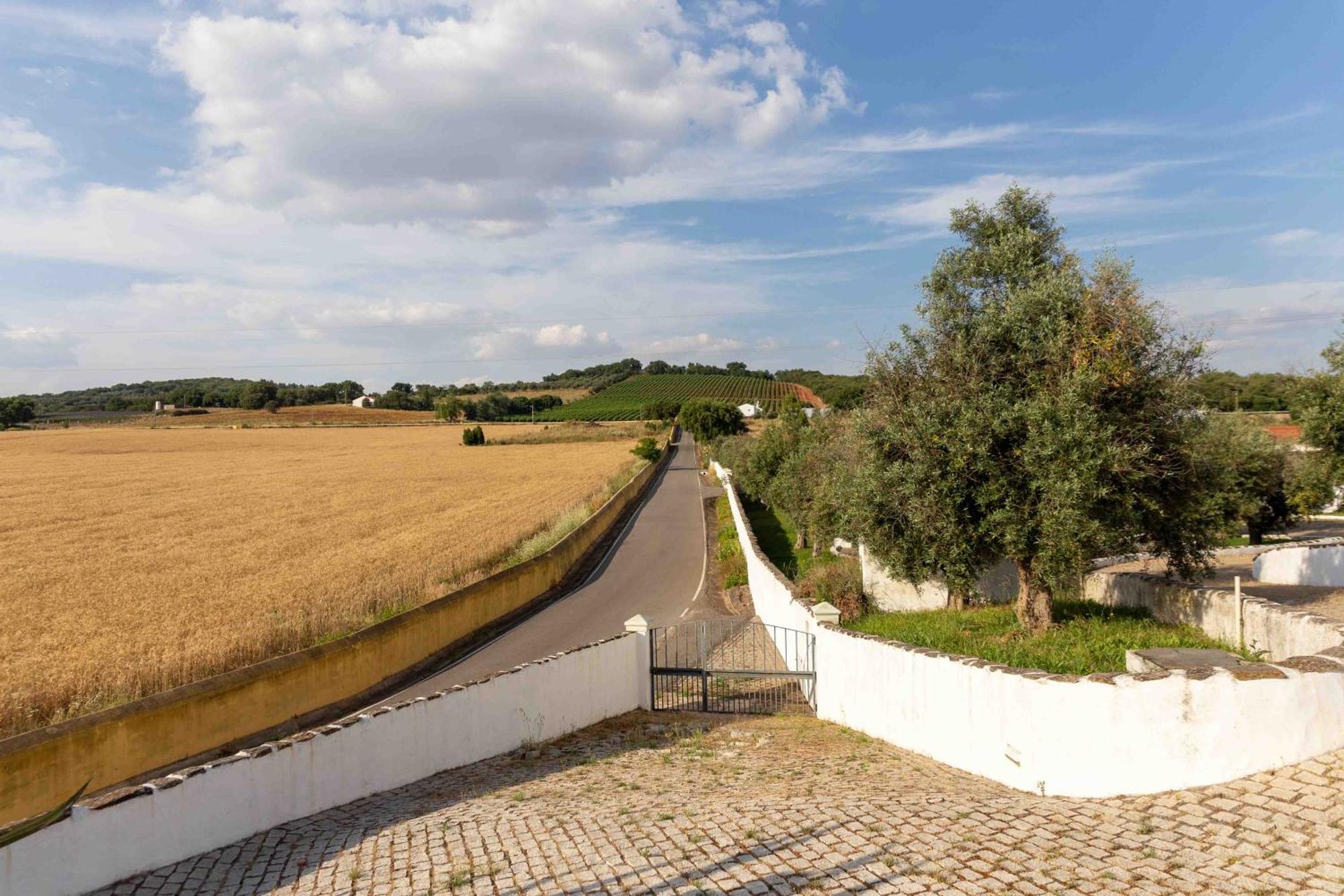 Monte Das Oliveiras - Casas De Campo Estremoz Esterno foto