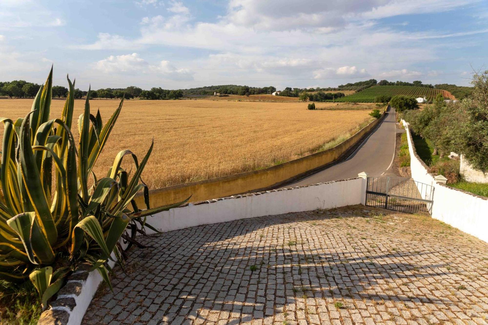 Monte Das Oliveiras - Casas De Campo Estremoz Esterno foto