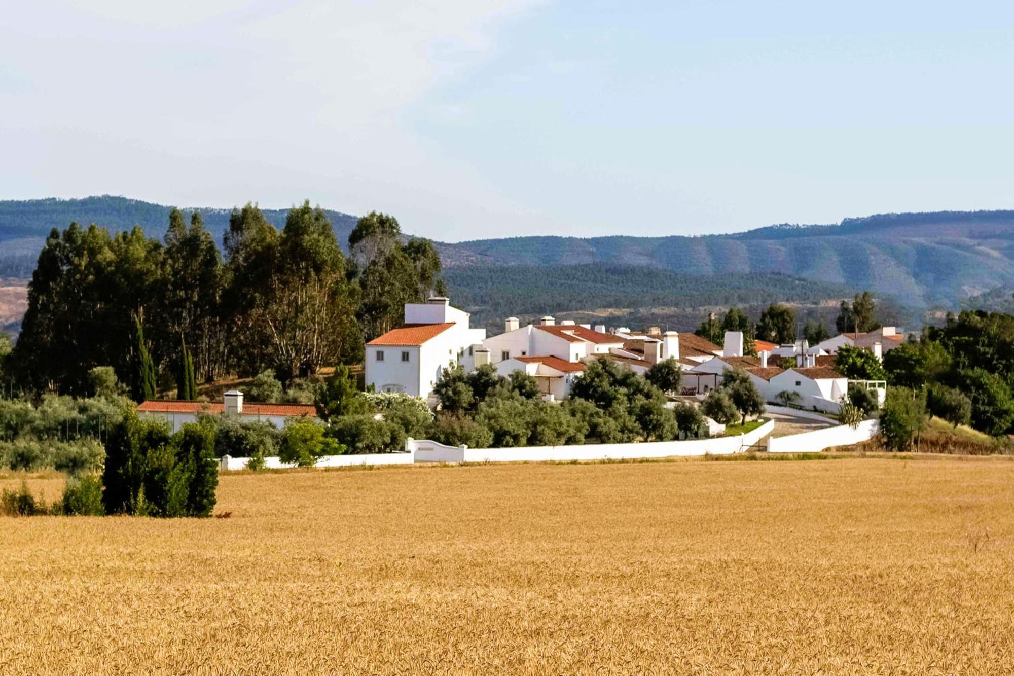 Monte Das Oliveiras - Casas De Campo Estremoz Esterno foto